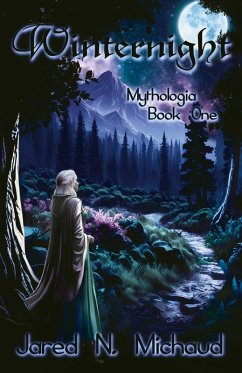 Cover Winternight