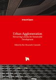 Urban Agglomeration - Extracting Lessons for Sustainable Development