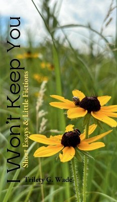 Cover I Won't Keep You