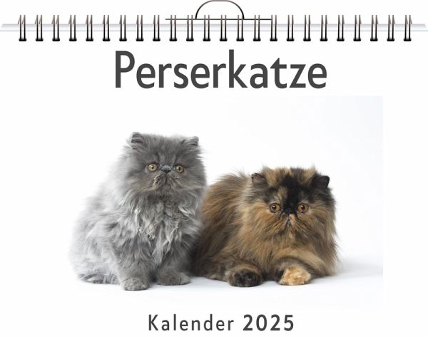 Perserkatze Perserkatze