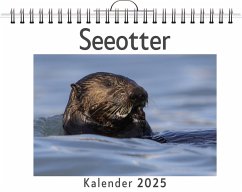 Seeotter - Hofmann, Jonas