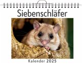 Siebenschläfer Siebenschläfer