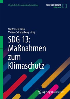 Cover SDG 13: Maßnahmen zum Klimaschutz