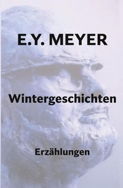 Wintergeschichten - Meyer, E. Y.