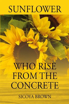 Sunflower Who Rise from Concrete - Brown, Sicoya