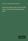 Ueber das Gehirn eines Gorilla und die untere oder dritte Stirnwindung der Affen