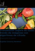 Transmisión segura de texto a través de imágenes con algoritmos de cifrado