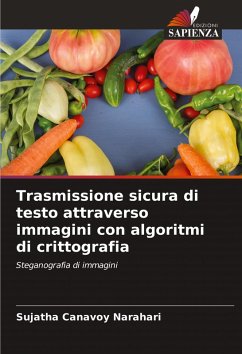 Trasmissione sicura di testo attraverso immagini con algoritmi di crittografia - Canavoy Narahari, Sujatha
