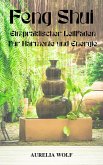Feng Shui (eBook, ePUB)