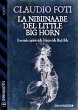 La Nibiinaabe del Little Big Horn... - Bild 1