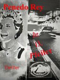 Der 13. Pfeiler (eBook, ePUB)