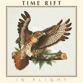 In Flight In Flight