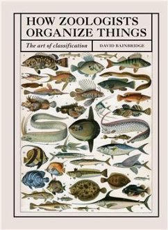 How Zoologists Organize Things - Bainbridge, David