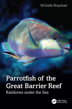 Parrotfish of the Great Barrier Reef - Brayshaw, Michelle