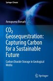 CO¿ Geosequestration: Capturing Carbon for a Sustainable Future CO¿ Geosequestration: Capturing Carbon for a Sustainable Future