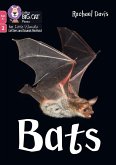 Bats Bats