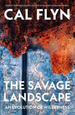 Cover The Savage Landscape