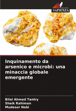 Cover Inquinamento da arsenico e microbi: una minaccia globale emergente