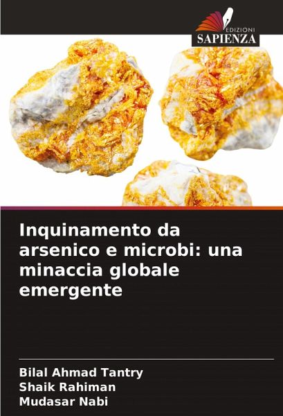 Inquinamento da arsenico e microbi: una minaccia globale emergente Inquinamento da arsenico e microbi: una minaccia globale emergente