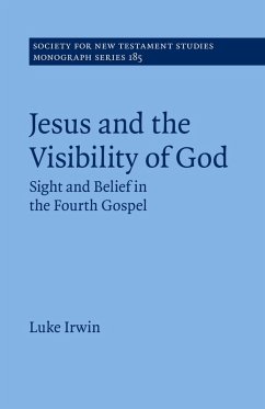 Jesus and the Visibility of God - Irwin, Luke