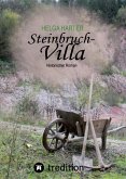 Steinbruchvilla (eBook, ePUB)