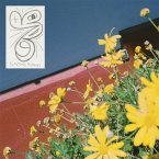 Sometimes Possessed Sometimes Possessed