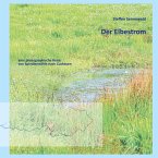 Der Elbestrom