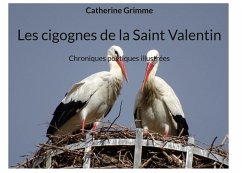 Cover Les cigognes de la Saint Valentin