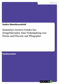 Dammriss zweiten Grades bei Erstgebärenden. Eine Verknüpfung von Praxis und Theorie mit Pflegeplan (eBook, PDF) Dammriss zweiten Grades bei Erstgebärenden. Eine Verknüpfung von Praxis und Theorie mit Pflegeplan (eBook, PDF)