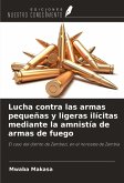 Lucha contra las armas pequeñas y ligeras ilícitas mediante la amnistía de armas de fuego