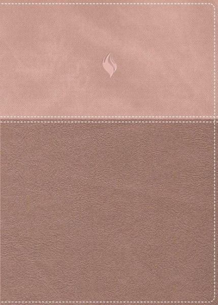 Rvr60, Biblia de Estudio de la Vida Plena, Edición Clásica, Leathersoft DOS Tonos Oro Rosa, Palabras de Jesús En Rojo, Comfort Print Rvr60, Biblia de Estudio de la Vida Plena, Edición Clásica, Leathersoft DOS Tonos Oro Rosa, Palabras de Jesús En Rojo, Comfort Print