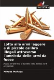 Lotta alle armi leggere e di piccolo calibro illegali attraverso l'amnistia delle armi da fuoco