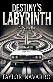 Destiny's Labyrinth, A Novella