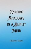 Chasing Shadows in a Sunlit Mind