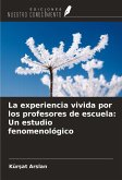 La experiencia vivida por los profesores de escuela: Un estudio fenomenológico