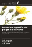 Detección y gestión del pulgón del cártamo Detección y gestión del pulgón del cártamo