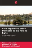 Vida vegetal no braço Damietta do rio Nilo no Egito Vida vegetal no braço Damietta do rio Nilo no Egito