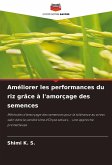 Améliorer les performances du riz grâce à l'amorçage des semences