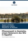 Pflanzenwelt in Damietta, einem Nebenarm des Nils in Ägypten Pflanzenwelt in Damietta, einem Nebenarm des Nils in Ägypten
