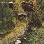 Kosmischer Pitch (Reissue) Kosmischer Pitch (Reissue)