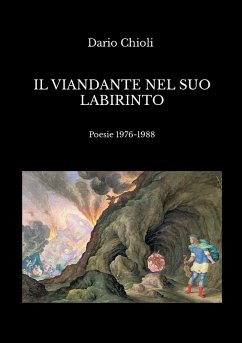 Cover Il viandante nel suo labirinto