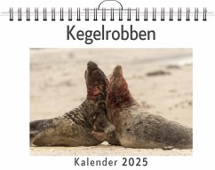 Kegelrobben - (Wandkalender 2025, Kalender DIN A4 quer, Monatskalender im Querformat mit Kalendarium, das perfekte Geschenk) - König, Emily