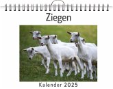 Ziegen - (Wandkalender 2025, Kalender DIN A4 quer, Monatskalender im Querformat mit Kalendarium, das perfekte Geschenk)