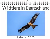 Wildtiere in Deutschland - (Wandkalender 2025, Kalender DIN A4 quer, Monatskalender im Querformat mit Kalendarium, das perfekte Geschenk) Wildtiere in Deutschland - (Wandkalender 2025, Kalender DIN A4 quer, Monatskalender im Querformat mit Kalendarium, das perfekte Geschenk)