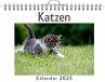Katzen - (Wandkalender 2025, Kalender... - Bild 1
