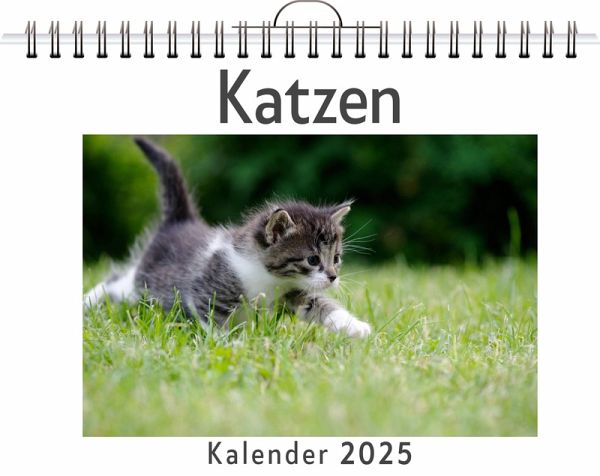 Katzen - (Wandkalender 2025, Kalender DIN A4 quer, Monatskalender im Querformat mit Kalendarium, das perfekte Geschenk) Katzen - (Wandkalender 2025, Kalender DIN A4 quer, Monatskalender im Querformat mit Kalendarium, das perfekte Geschenk)