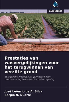 Cover Prestaties van wasvergelijkingen voor het terugwinnen van verzilte grond