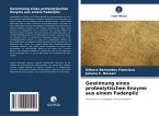 Gewinnung eines proteolytischen Enzyms aus einem Fadenpilz Gewinnung eines proteolytischen Enzyms aus einem Fadenpilz