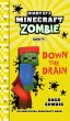 Diary of a Minecraft Zombie Book 16 - Bild 1