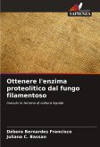 Ottenere l'enzima proteolitico dal fungo filamentoso Ottenere l'enzima proteolitico dal fungo filamentoso